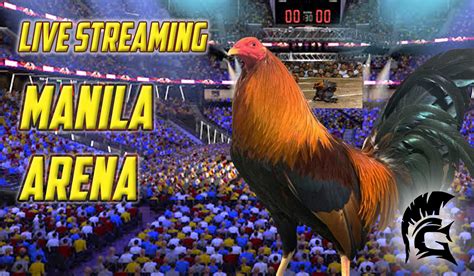 derby sabong